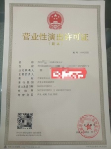 关于成都高新区文艺表演团体设立的申请